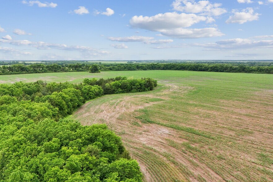 More Photos Of County Line Road, Honey Grove Land For Sale