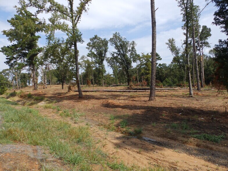 More Photos Of 16393 Highway 31, Tyler Land For Sale
