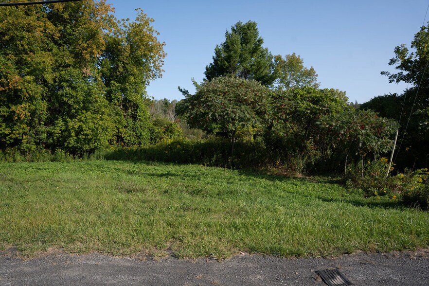 More Photos Of 219 Mudge rd, Delanson Land For Sale