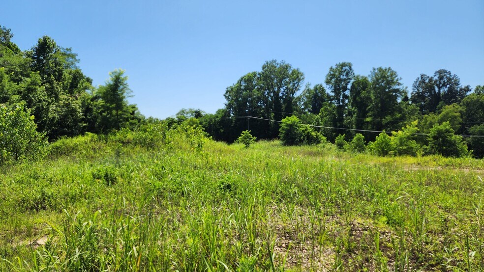 More Photos Of 000 Hwy 61 North, Vicksburg Land For Sale