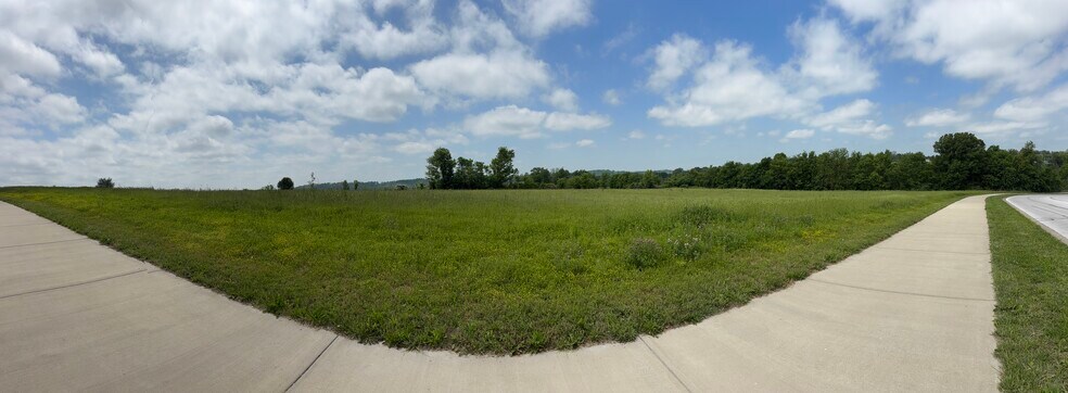More Photos Of 801 Fremont Road, Ozark Land For Sale