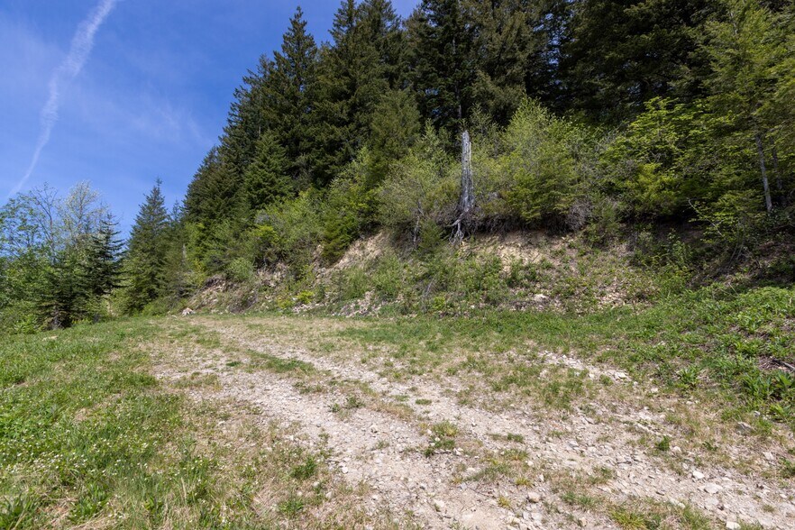 More Photos Of 0 Snag Mountain Road, Washougal Land For Sale