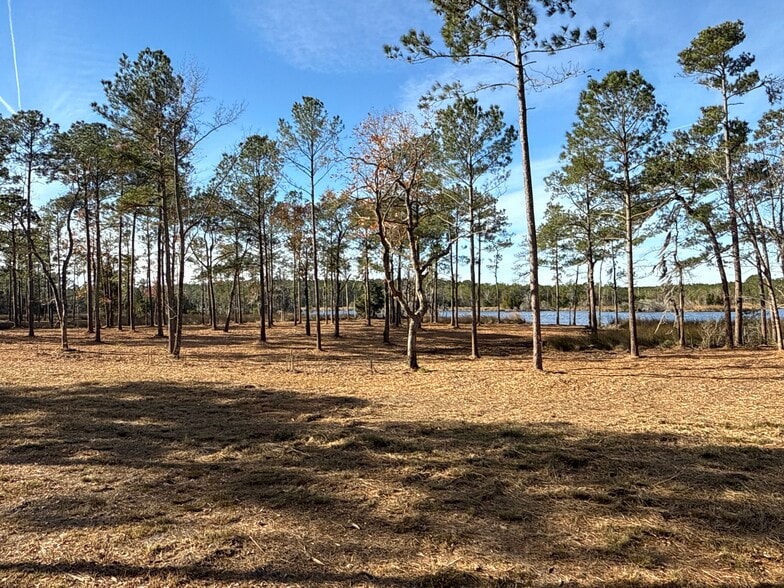 More Photos Of 0 Norfleet Shores Road, Belhaven Land For Sale