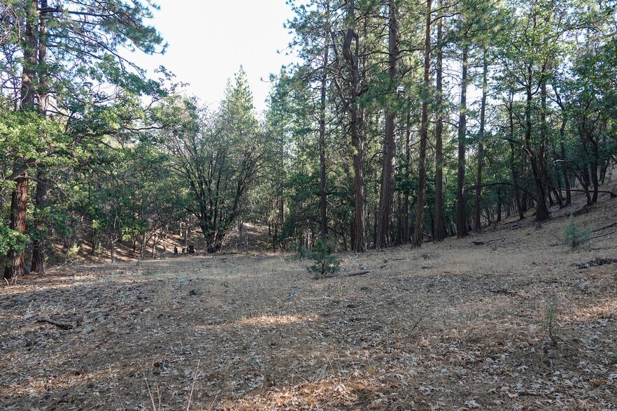 More Photos Of 0 East Rd, Fort Jones Land For Sale