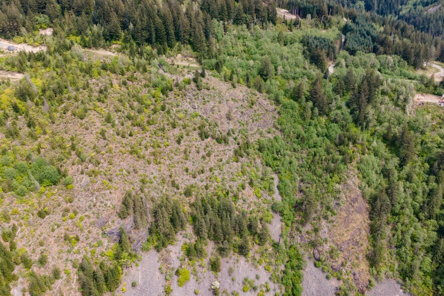 More Photos Of 0 Snag Mountain Road, Washougal Land For Sale
