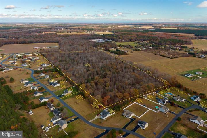 Primary Photo Of 50 acres Mt Joy, Millsboro Land For Sale