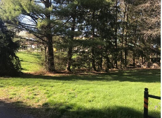 Primary Photo Of 165 Monroe Ave, Lewisburg Land For Sale