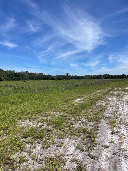 More Photos Of Lake Ferns Road, Umatilla Land For Sale