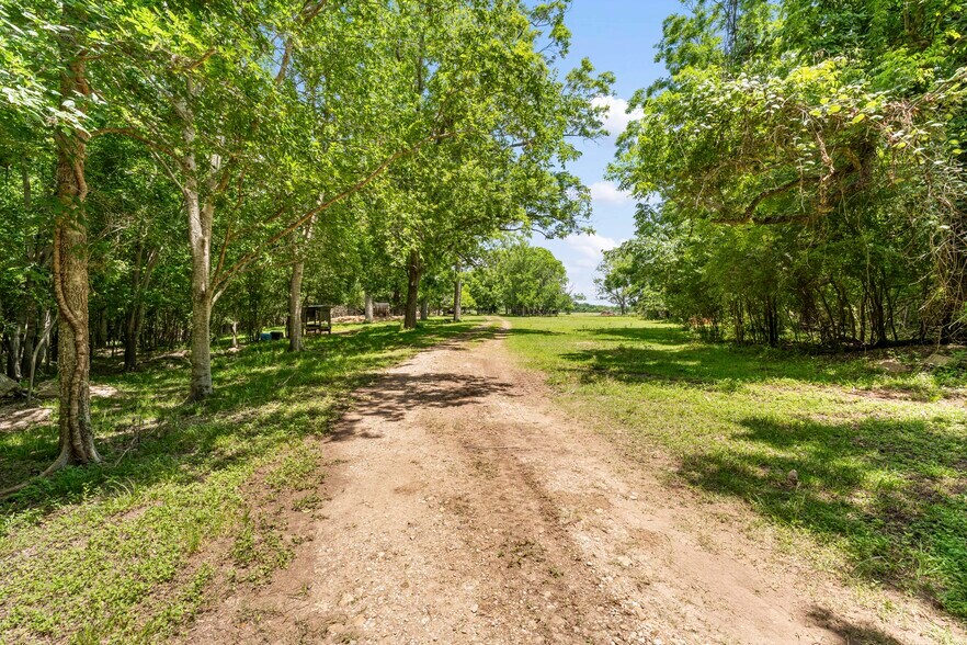 More Photos Of 10840 FM 442, Boling Land For Sale