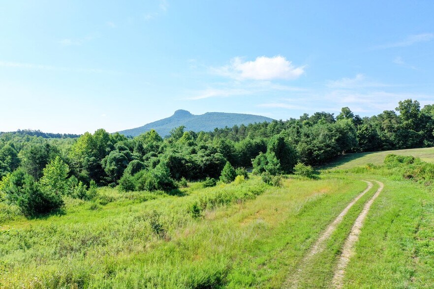 More Photos Of 8AC Lola Ln, Pilot Mountain Land For Sale