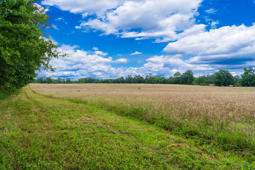 More Photos Of 1013 Amber Stapp Studdard Rd, Social Circle Land For Sale