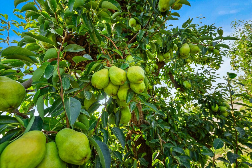 More Photos Of NKA Desmarais rd, Moxee Land For Sale