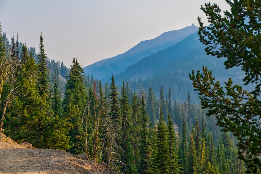 More Photos Of Spring Hill Private Timberland, Kila Land For Sale