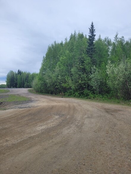 More Photos Of NHN Badger Road, North Pole Land For Sale