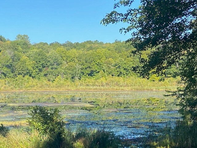 More Photos Of 152 Lily Lake Rd, Highland Land For Sale