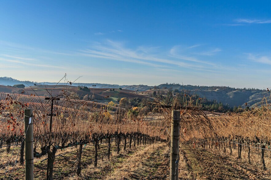 More Photos Of 5200 Di Arie Road Rd, Mount Aukum Land For Sale
