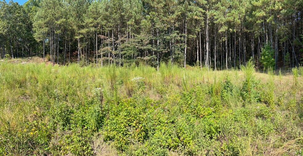 More Photos Of 0 Stone Mountain Hwy, Lilburn Land For Sale