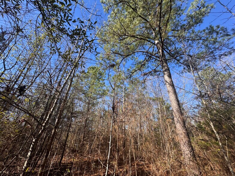 More Photos Of U.S. 31, Verbena Land For Sale