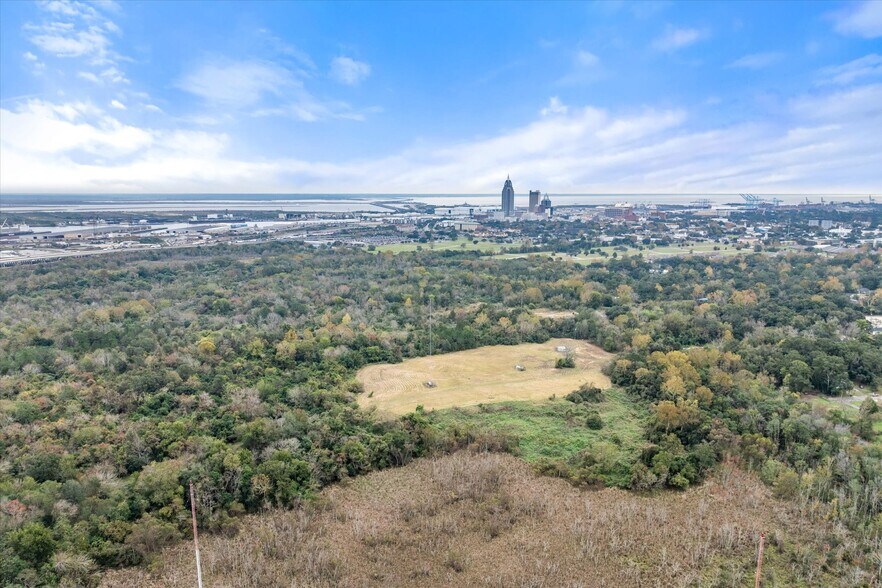 Primary Photo Of Conception Street Road, Mobile Land For Sale