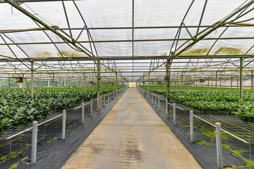 More Photos Of 18021 E Apshawa Rd, Minneola Land For Sale