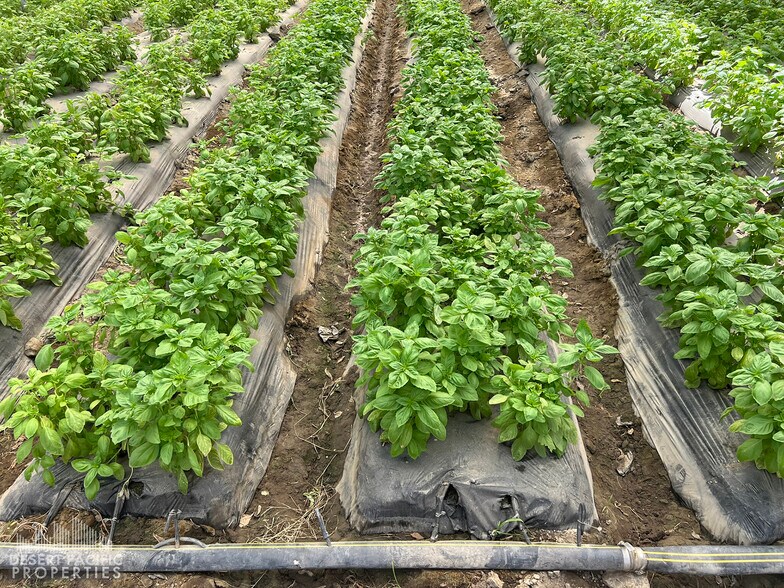 More Photos Of 78100 Harrison St, Thermal Land For Sale