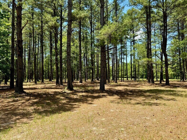 More Photos Of 241 Foskey Cemetery Rd, Adrian Land For Sale