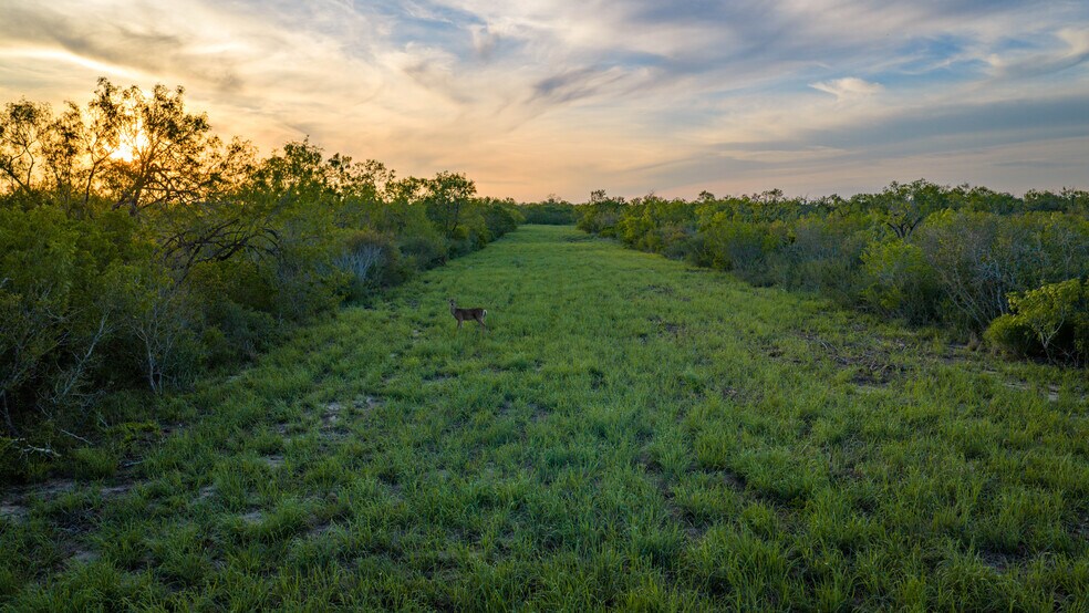 More Photos Of FM 791, Campbellton Land For Sale