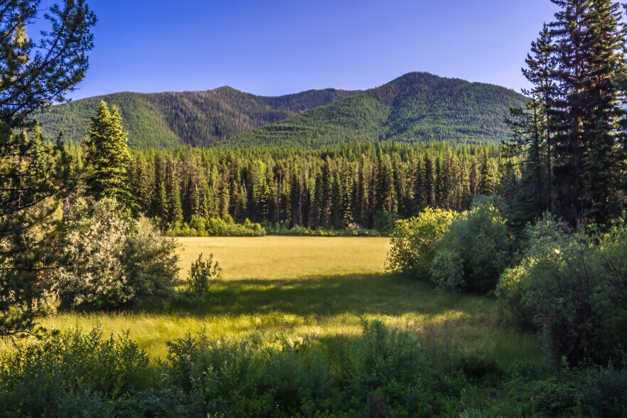 More Photos Of Lone Lake Legacy Timber & Grazing Tract, Kila Land For Sale