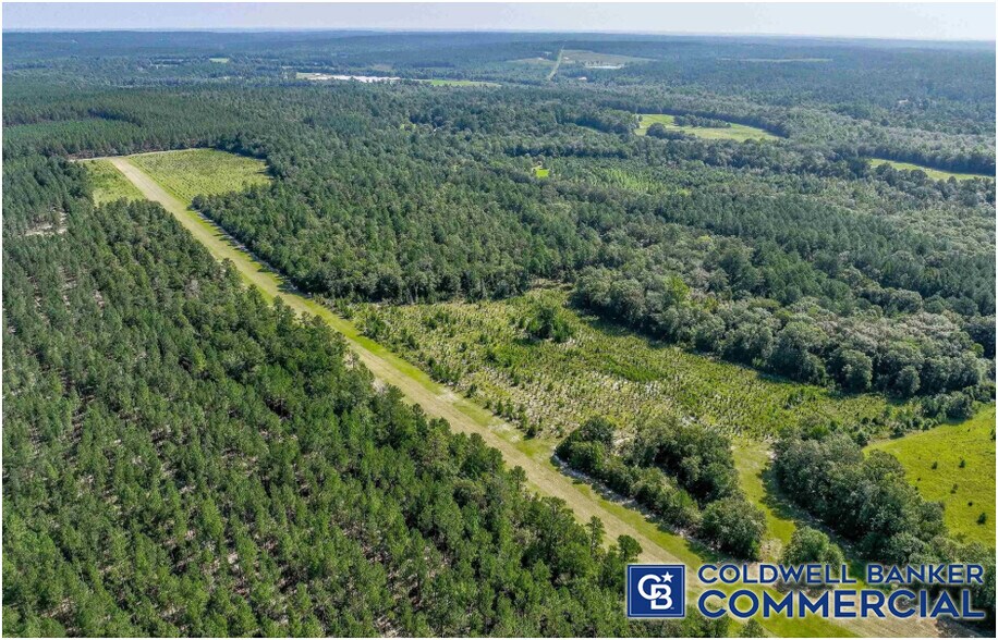 More Photos Of 1340 Clayton Rd, Ridge Spring Land For Sale