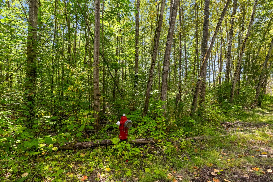 More Photos Of 115-155 Tremont Ave, Bellingham Land For Sale