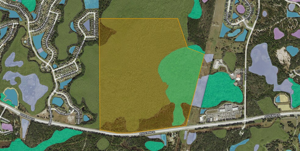 More Photos Of Fl 52, Hudson Land For Sale