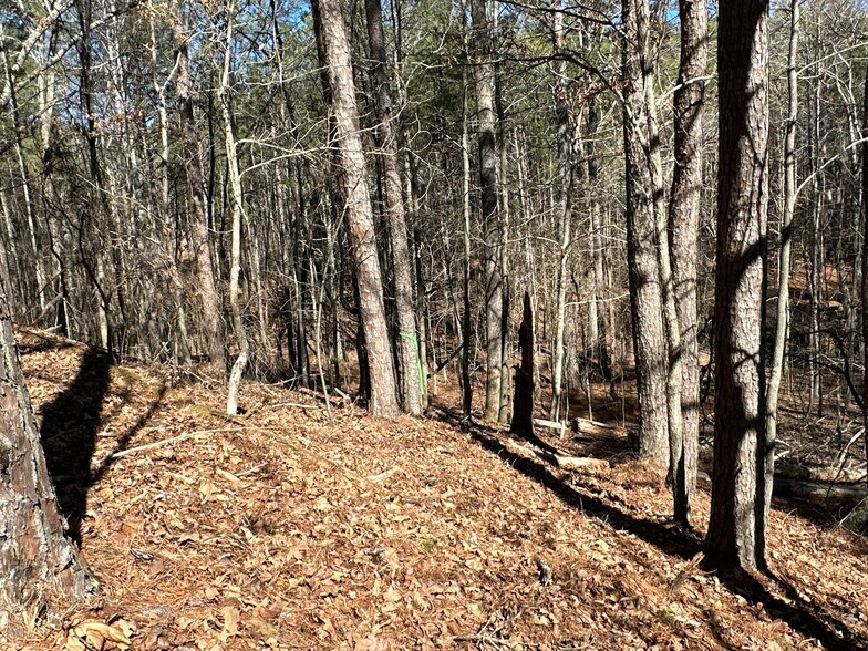 More Photos Of 3472 Prior Station Rd, Cedartown Land For Sale