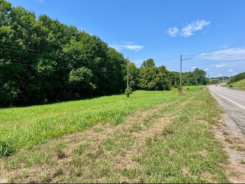 More Photos Of 0 Hwy 28, Livingston Land For Sale