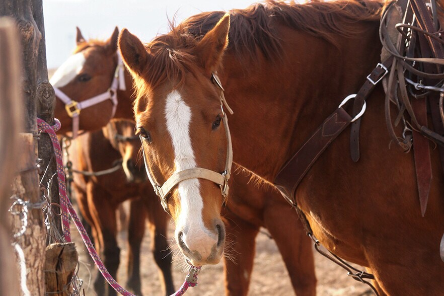 111 W 2nd St, Naturita, CO 81422 Manufactured Housing Mobile Home