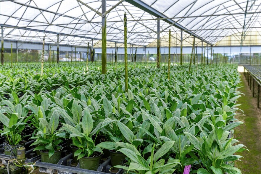 More Photos Of 18021 E Apshawa Rd, Minneola Land For Sale