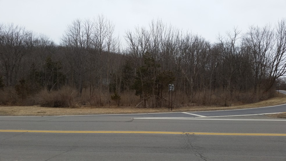 Primary Photo Of 0 Route 55, Lagrangeville Land For Sale