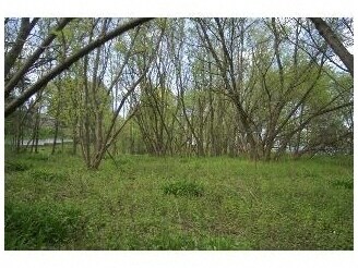 Primary Photo Of Genesee St, Chittenango Land For Sale