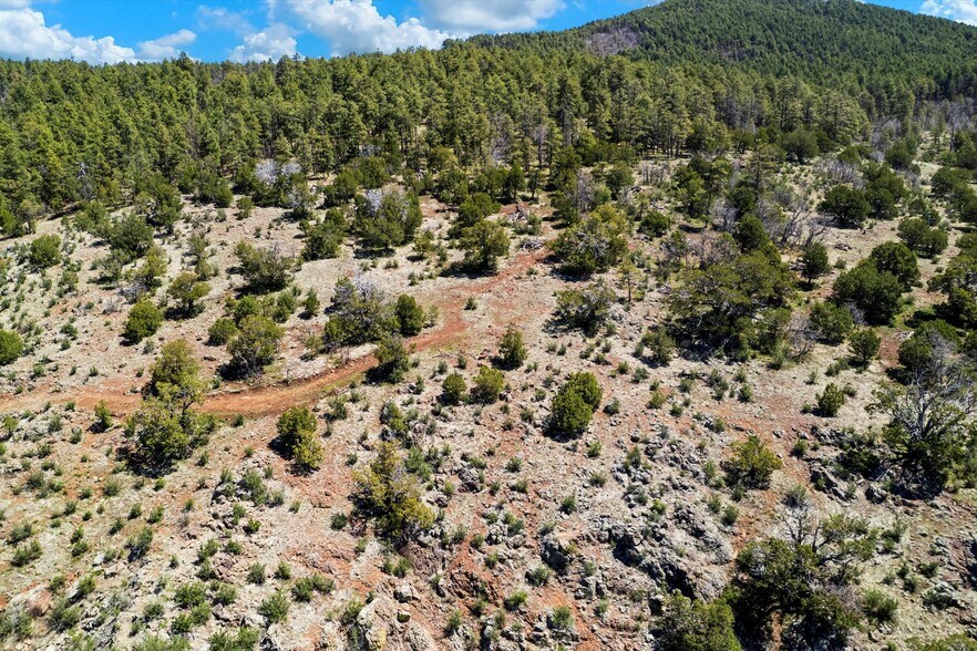 More Photos Of 00 Ponderosa Dr, Flagstaff Land For Sale