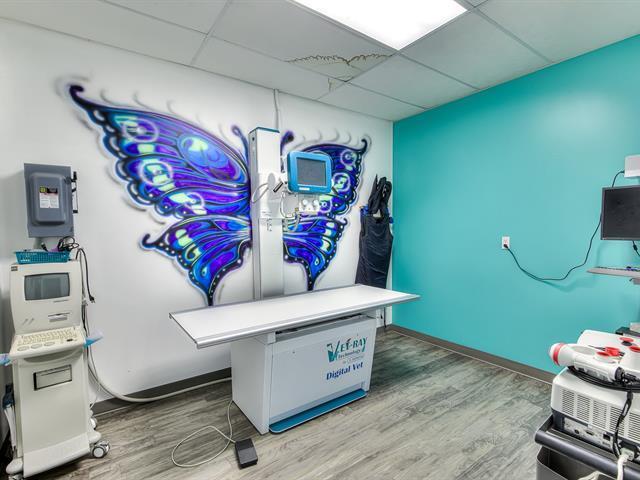 More Photos Of 20 Rue Mill, Howick Veterinarian Kennel For Sale