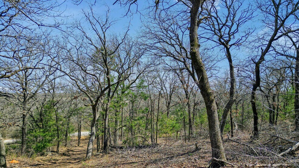 More Photos Of 278 Neely Trl, Gainesville Land For Sale