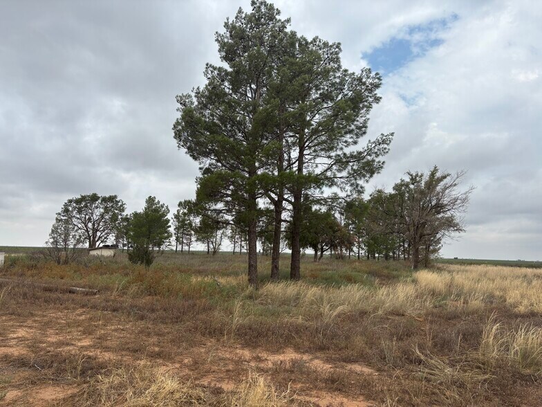 More Photos Of CR 8 and CR 11, Tahoka Land For Sale