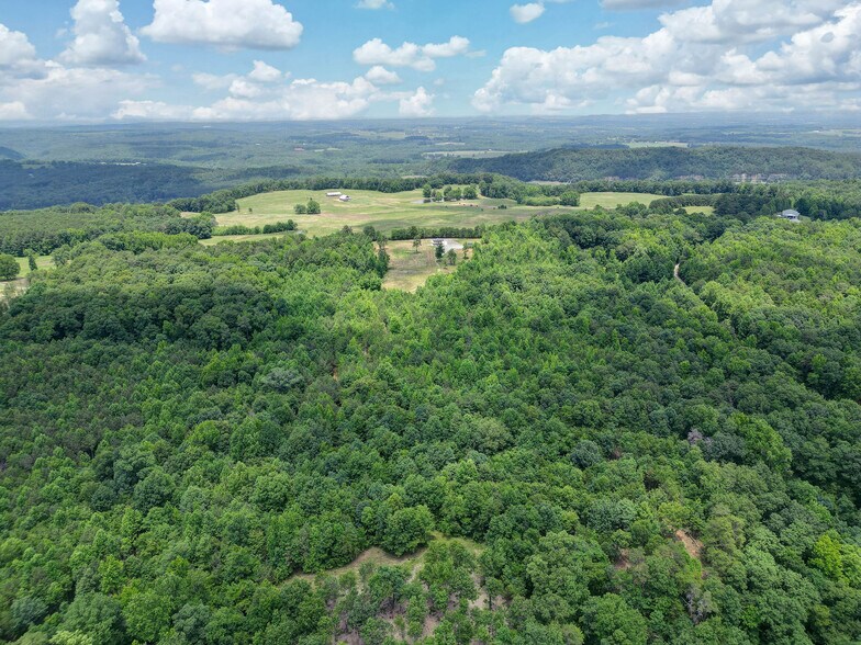 More Photos Of 1129 Sloan dr, Blountsville Land For Sale