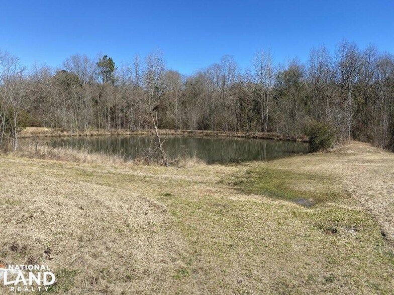 More Photos Of 7918 US-98, Sumrall Land For Sale
