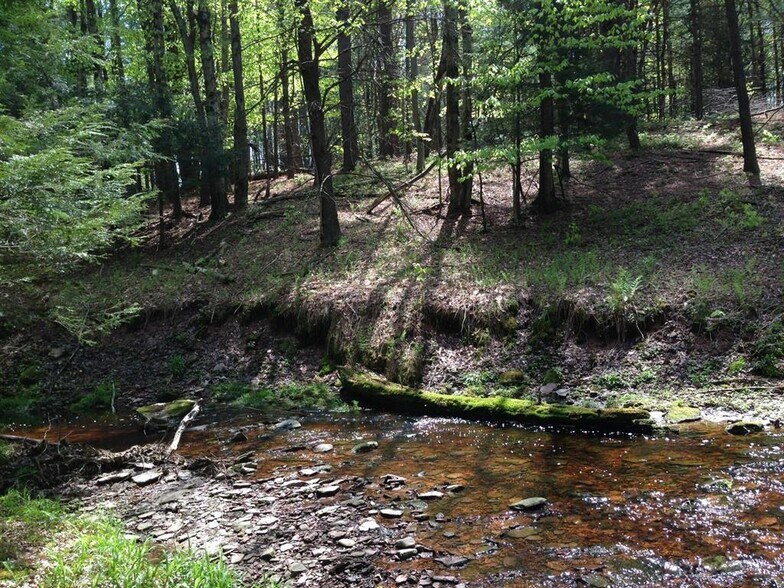 More Photos Of 282 Shore Rd, Swan Lake Land For Sale