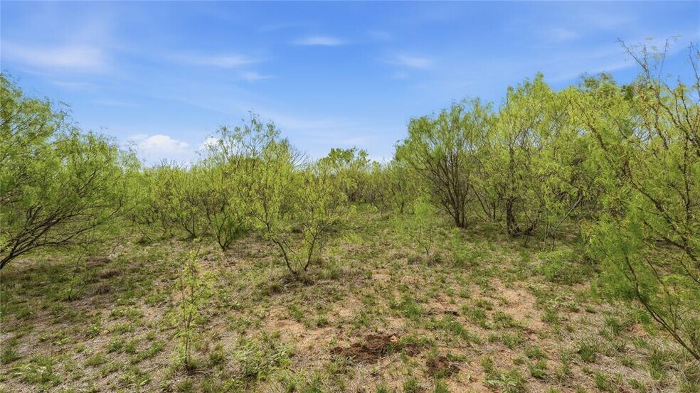 More Photos Of TBD Reids Bend rd, Bastrop Land For Sale