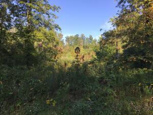 More Photos Of TBD US 23 S hwy, Wise Land For Sale