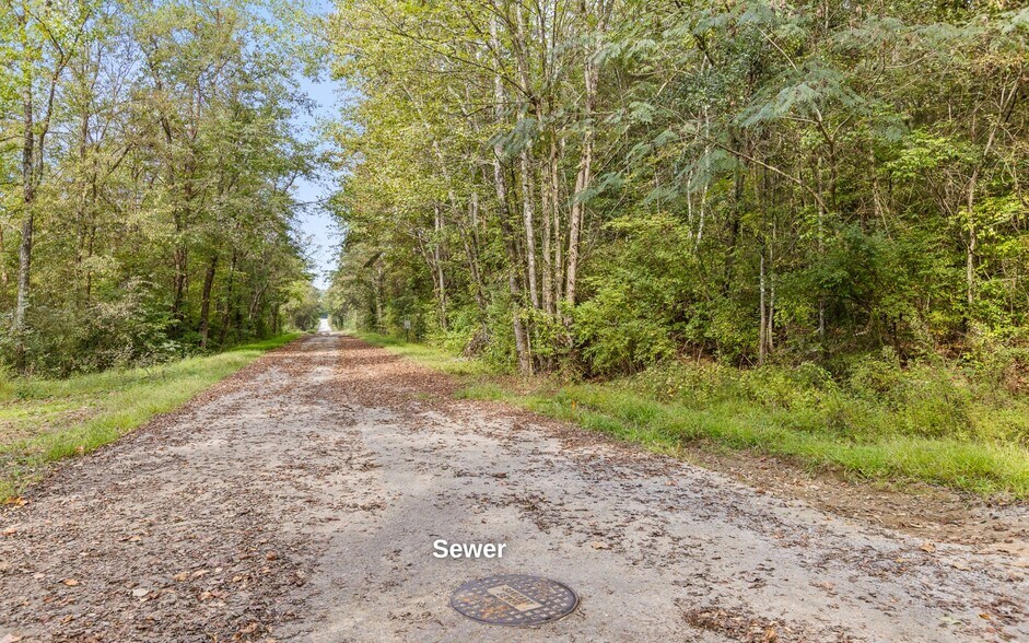 More Photos Of 0 Old GA 299 Hwy, Wildwood Land For Sale