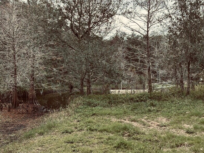 More Photos Of 1676 Hermosa Dr, Palm Harbor Land For Sale