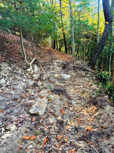 More Photos Of 0 Old Pluto Rd, Shady Spring Land For Sale