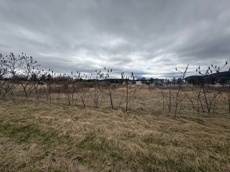 More Photos Of L6.111 L6.111 NYS RTE 74 Rt, Ticonderoga Land For Sale